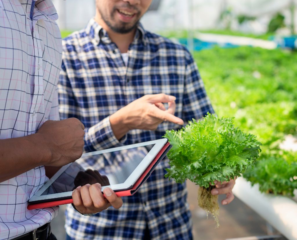 In-depth view of the managed farming process, showcasing various stages and techniques used to optimize farm operations and enhance productivity